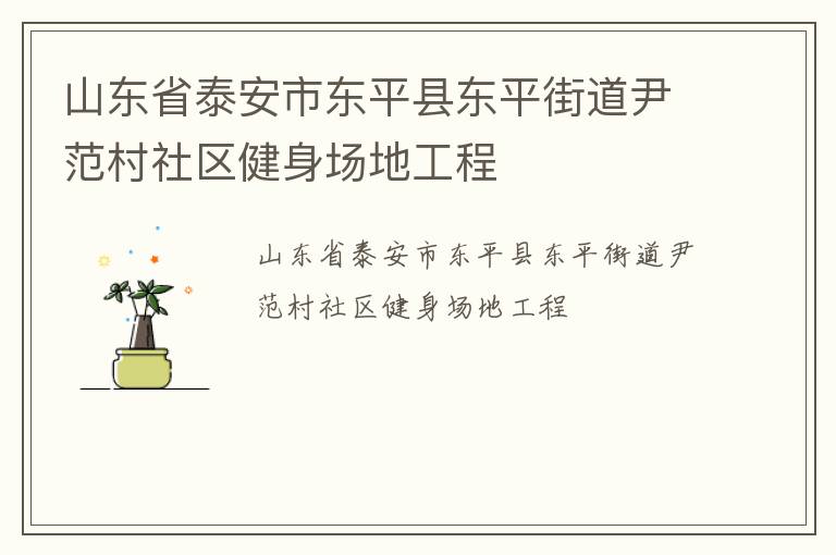 山東省泰安市東平縣東平街道尹范村社區(qū)健身場(chǎng)地工程