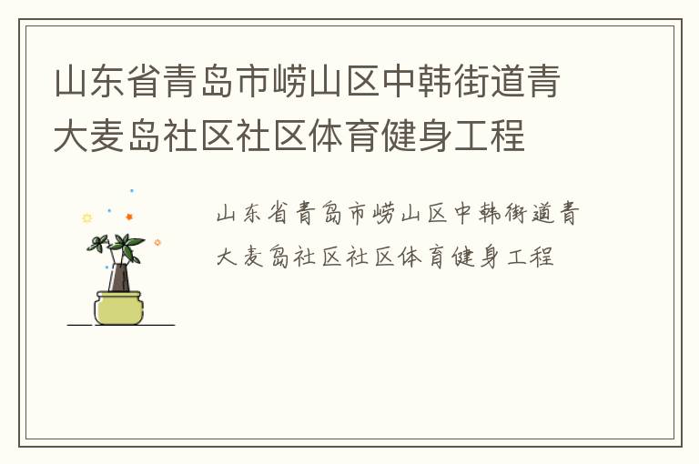 山東省青島市嶗山區(qū)中韓街道青大麥島社區(qū)社區(qū)體育健身工程