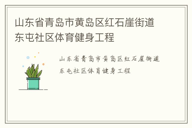 山東省青島市黃島區(qū)紅石崖街道東屯社區(qū)體育健身工程