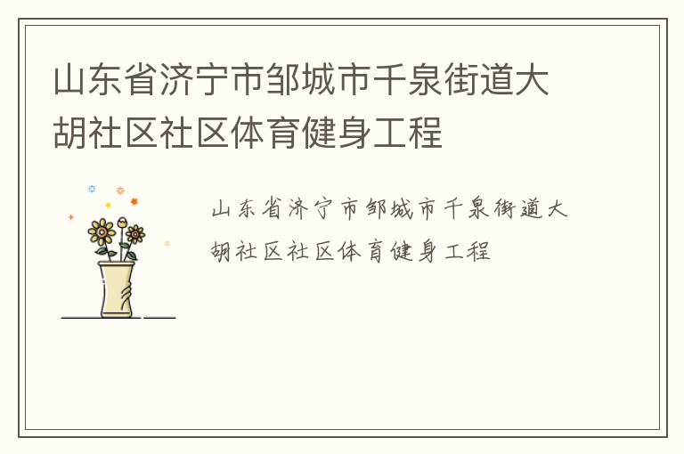 山東省濟(jì)寧市鄒城市千泉街道大胡社區(qū)社區(qū)體育健身工程