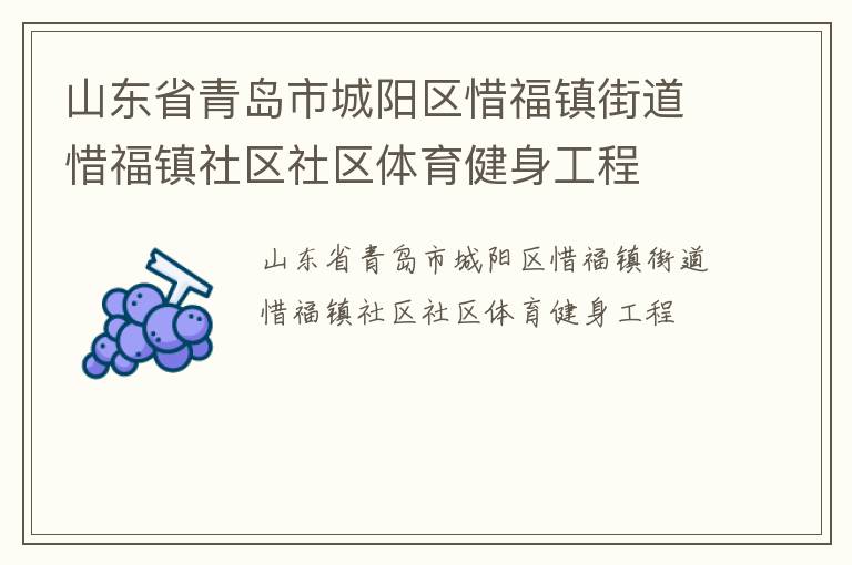 山東省青島市城陽區(qū)惜福鎮(zhèn)街道惜福鎮(zhèn)社區(qū)社區(qū)體育健身工程