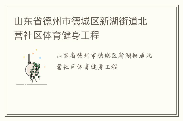 山東省德州市德城區(qū)新湖街道北營(yíng)社區(qū)體育健身工程