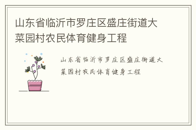 山東省臨沂市羅莊區(qū)盛莊街道大菜園村農(nóng)民體育健身工程