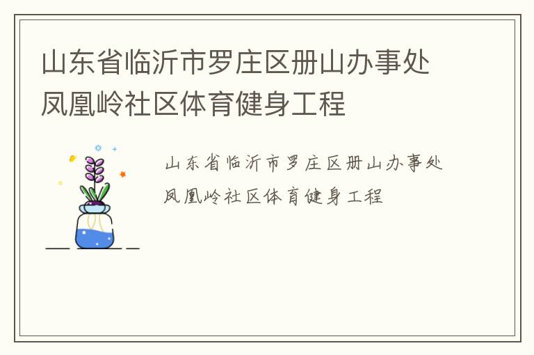 山東省臨沂市羅莊區(qū)冊山辦事處鳳凰嶺社區(qū)體育健身工程