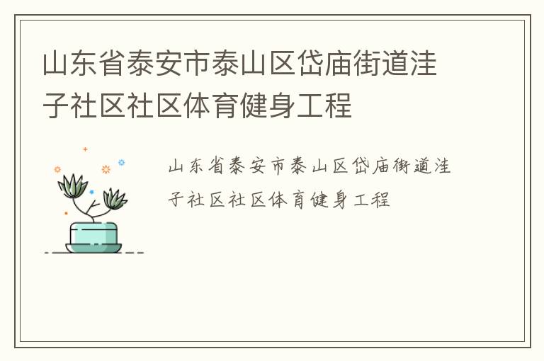 山東省泰安市泰山區(qū)岱廟街道洼子社區(qū)社區(qū)體育健身工程