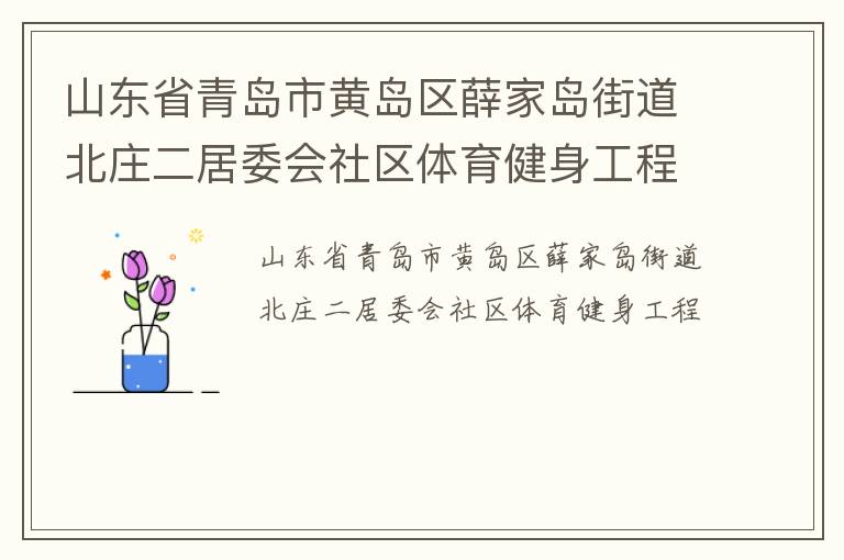 山東省青島市黃島區(qū)薛家島街道北莊二居委會(huì)社區(qū)體育健身工程