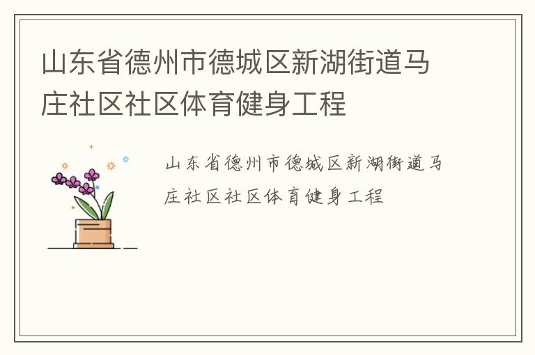 山東省德州市德城區(qū)新湖街道馬莊社區(qū)社區(qū)體育健身工程