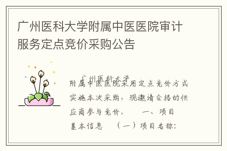廣州醫(yī)科大學附屬中醫(yī)醫(yī)院審計服務定點競價采購公告
