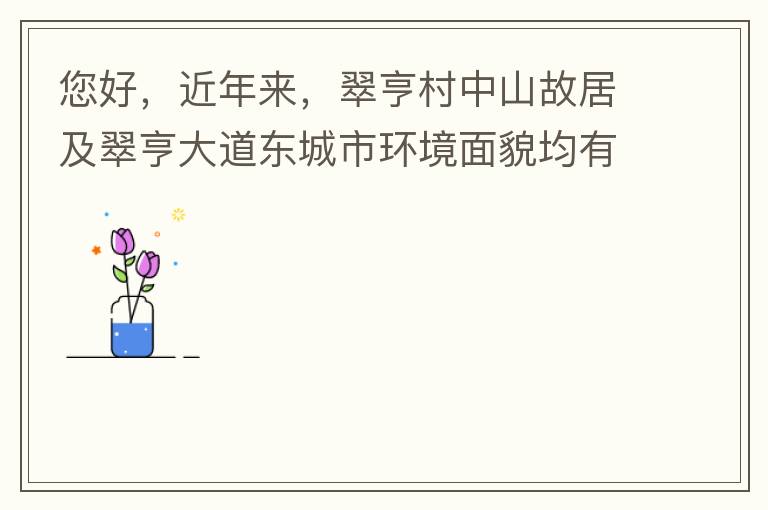 您好，近年來，翠亨村中山故居及翠亨大道東城市環(huán)境面貌均有所提升。但周邊環(huán)境仍然不夠理想，稍顯臟亂差，與5A風景區(qū)的定位不相協(xié)調，望繼續(xù)盡快改善為宜。多謝