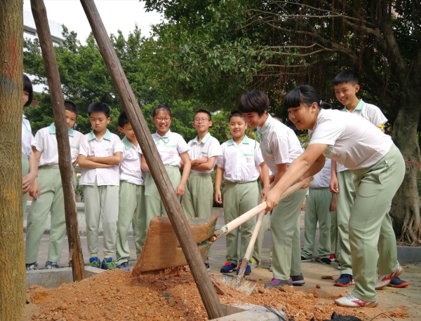 六5畢業(yè)樹(shù)種植 (4).jpg