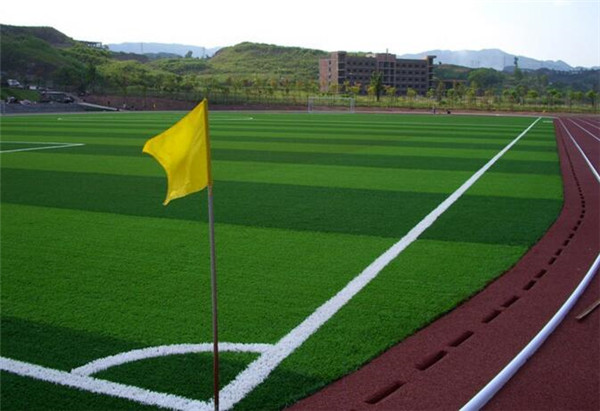 環(huán)保無毒EPDM<a href=http://m.anhaohn.com target=_blank class=infotextkey>塑膠跑道</a> 環(huán)保無毒EPDM<a href=http://m.anhaohn.com target=_blank class=infotextkey>塑膠跑道</a>