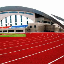 利達(dá)廠家供應(yīng)、混合型塑膠跑道施工、復(fù)合型塑膠跑道材料廠家