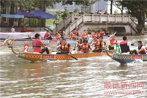 順德區(qū)政協(xié)委員龍舟文化體驗(yàn)活動(dòng)順利開展