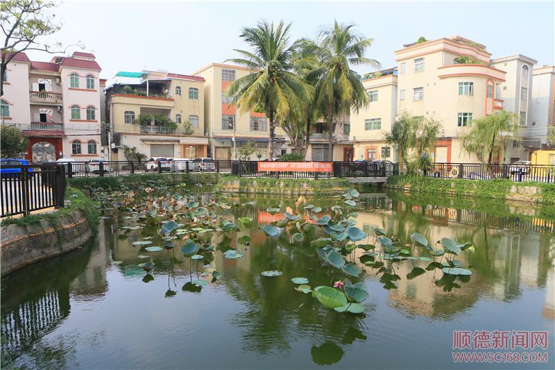 容桂南區(qū)社區(qū)持續(xù)提升人居環(huán)境，社區(qū)面貌展新顏