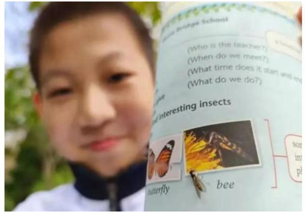 后生可畏！又有學(xué)生發(fā)現(xiàn)教科書錯(cuò)誤，這次是上海10后！