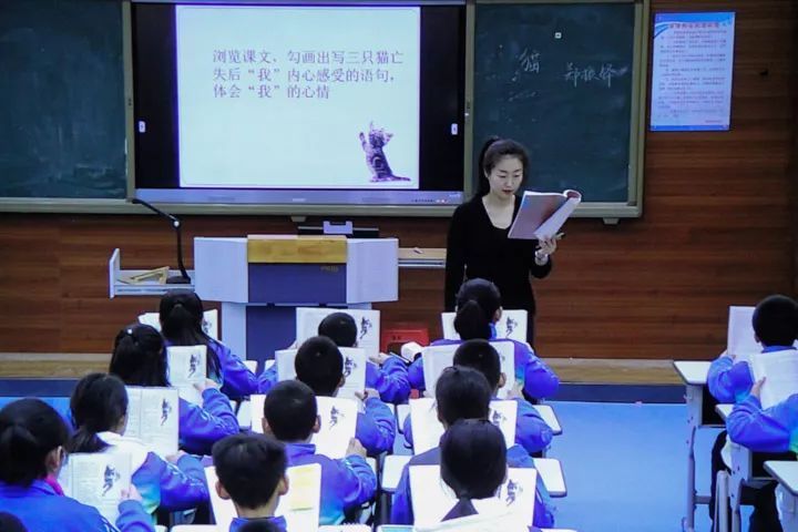 語文怪象：學(xué)的是草船借箭，考的卻是赤壁之戰(zhàn)，考得越廣學(xué)得越淺