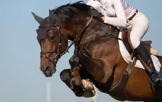 2021超級(jí)馬術(shù)俱樂(lè)部聯(lián)賽（天星調(diào)良馬術(shù)第九站） & 北京馬協(xié)青少年馬術(shù)巡回賽