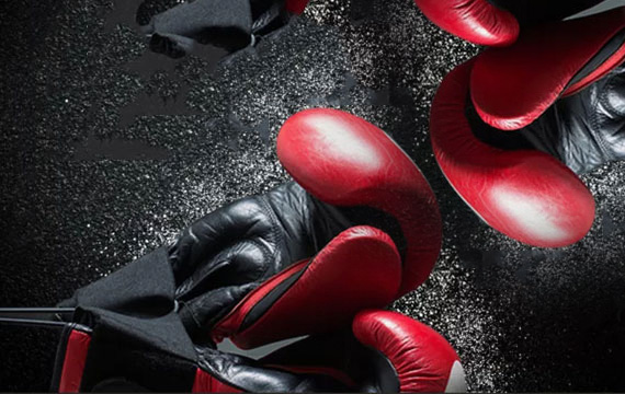 北京市第十五屆運動會拳擊比賽