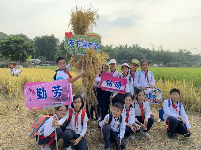 追尋袁隆平的稻夢之旅秋季研學(xué).jpg