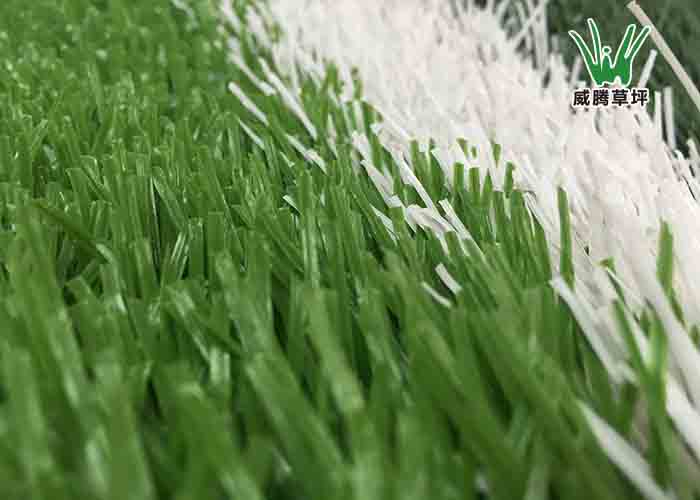 足球場(chǎng)仿真草坪