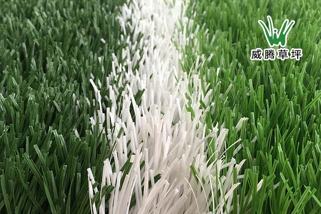 足球場(chǎng)人造草坪-es50475