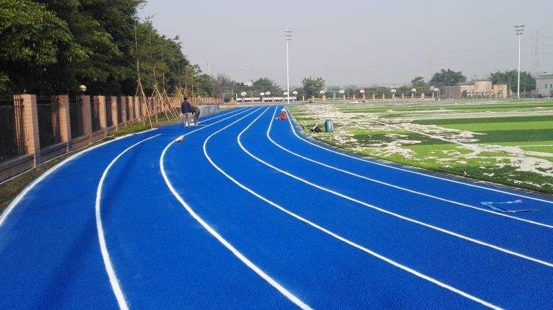 <a href=http://m.anhaohn.com target=_blank class=infotextkey>塑膠跑道</a>