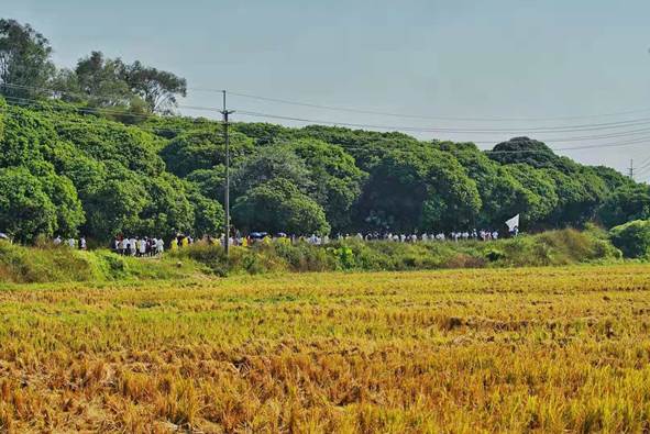 圖片包含 草, 戶外, 天空, 田野  描述已自動(dòng)生成
