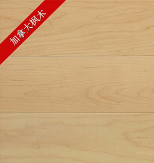 進(jìn)口北美楓木|進(jìn)口北美楓木價(jià)格|進(jìn)口北美楓木怎么樣