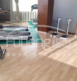 健身房木地板|健身房木地板價(jià)格|健身房專用木地板