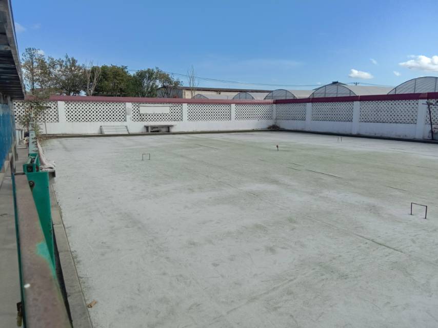 森林村森塘路21號(hào)門(mén)球場(chǎng)