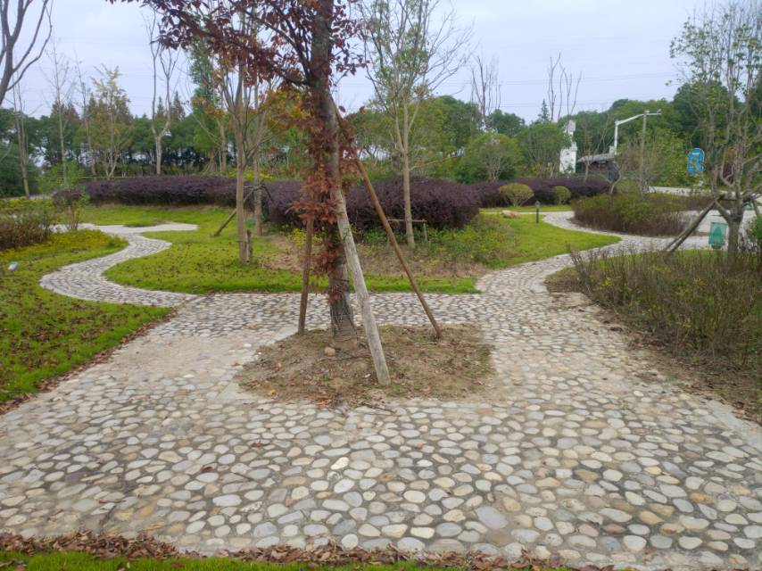 廟南村村民公園廊道