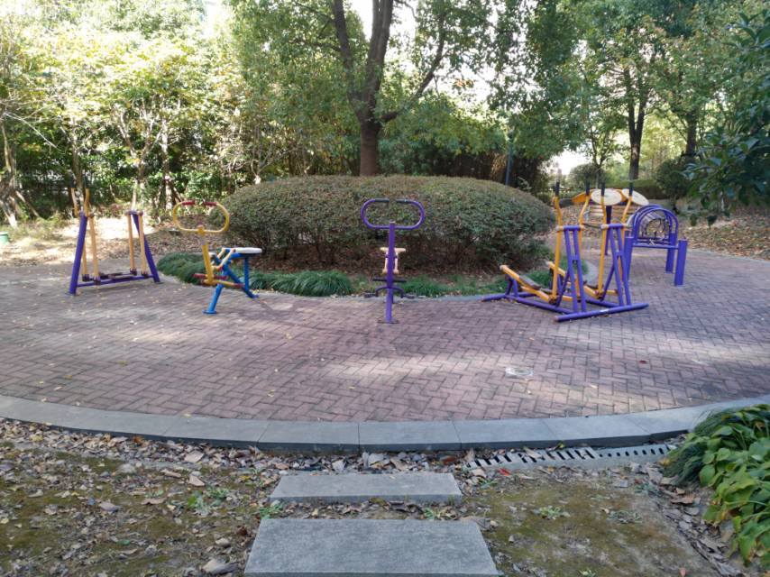 高行鎮(zhèn)森蘭尚城居委健身苑點4