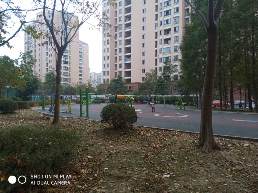 凌橋六居委健身點1