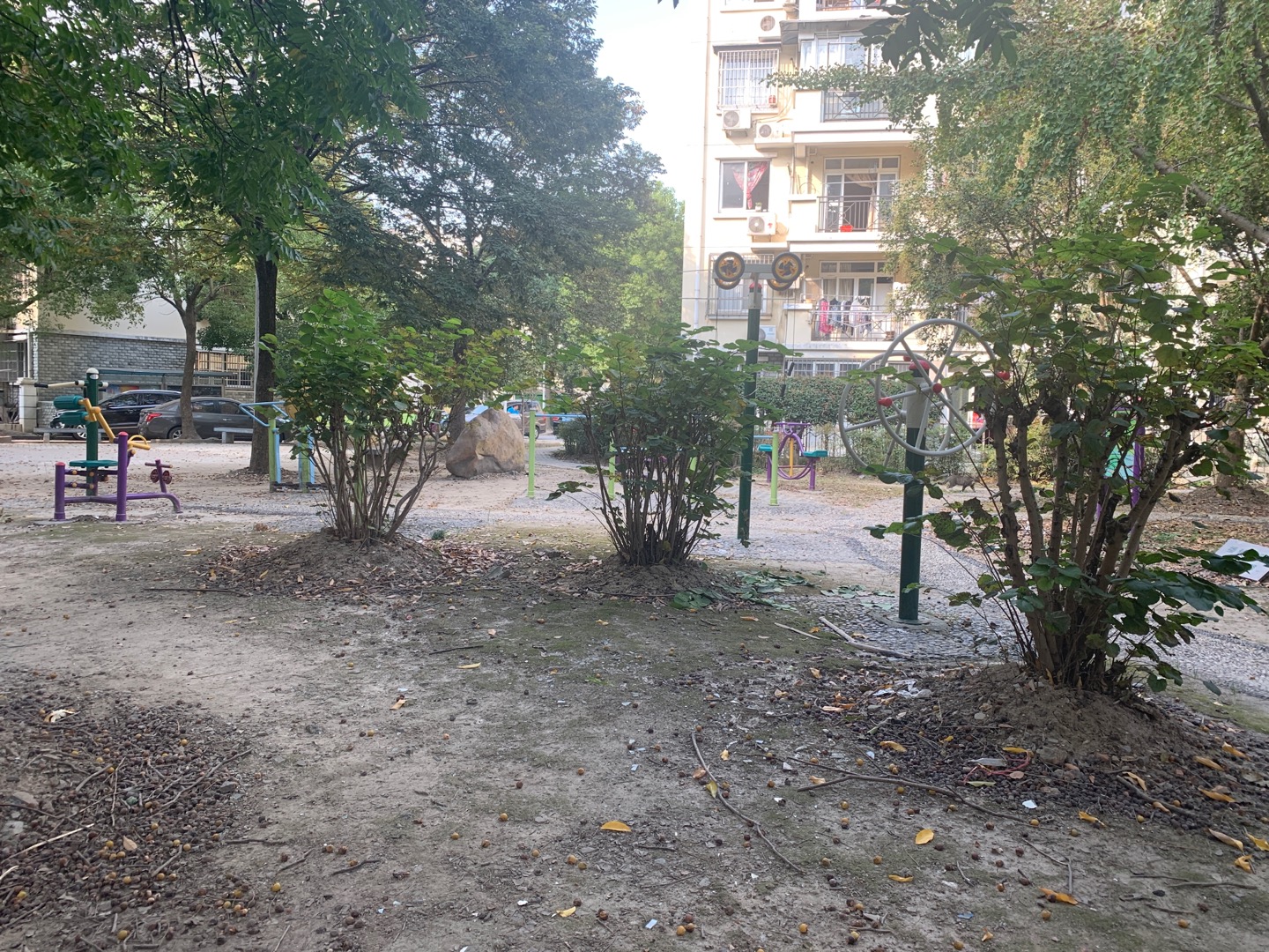 凌一居委正旺苑市民益智健身苑點