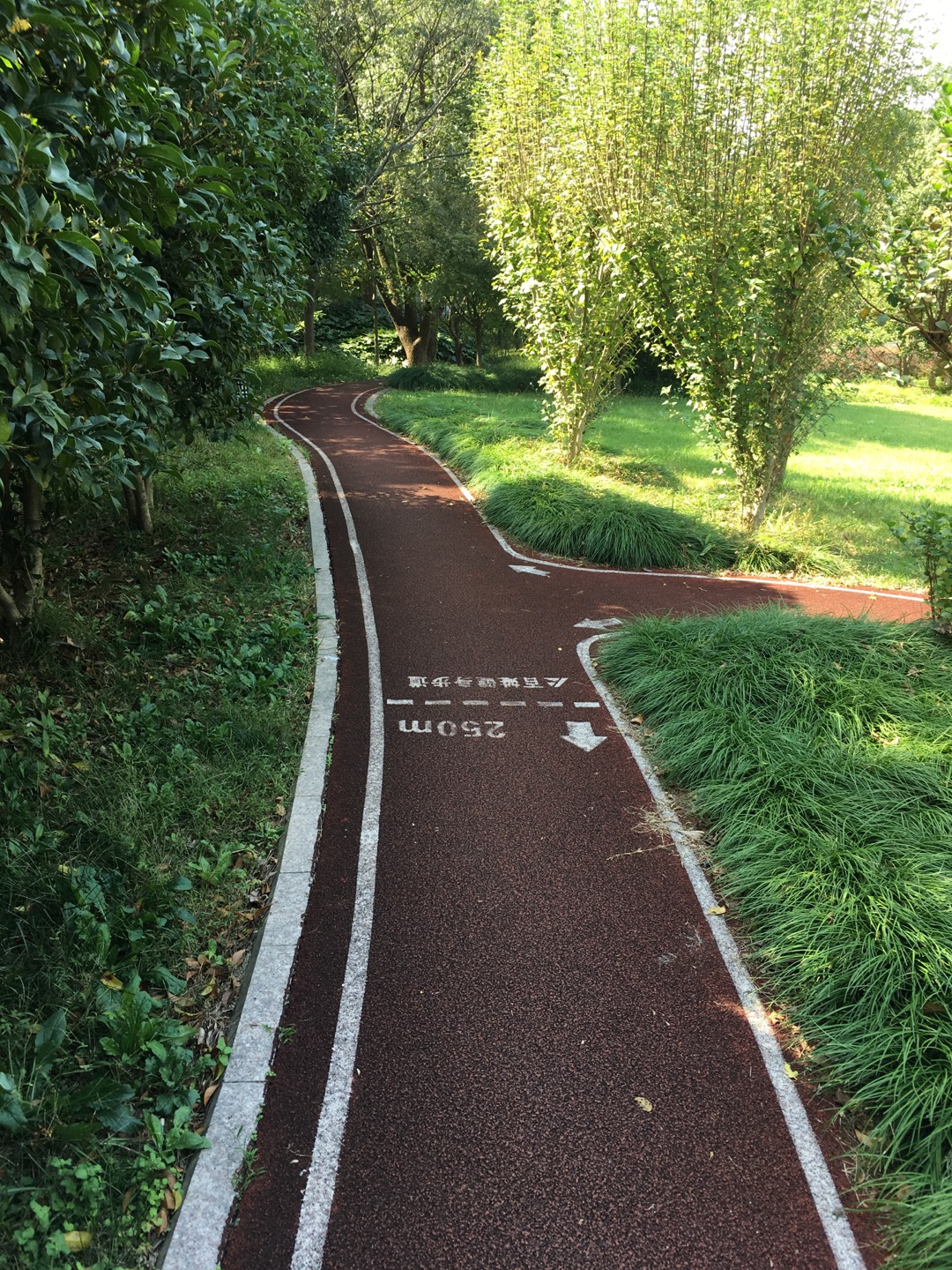 紅鷹小區(qū)百姓健身步道