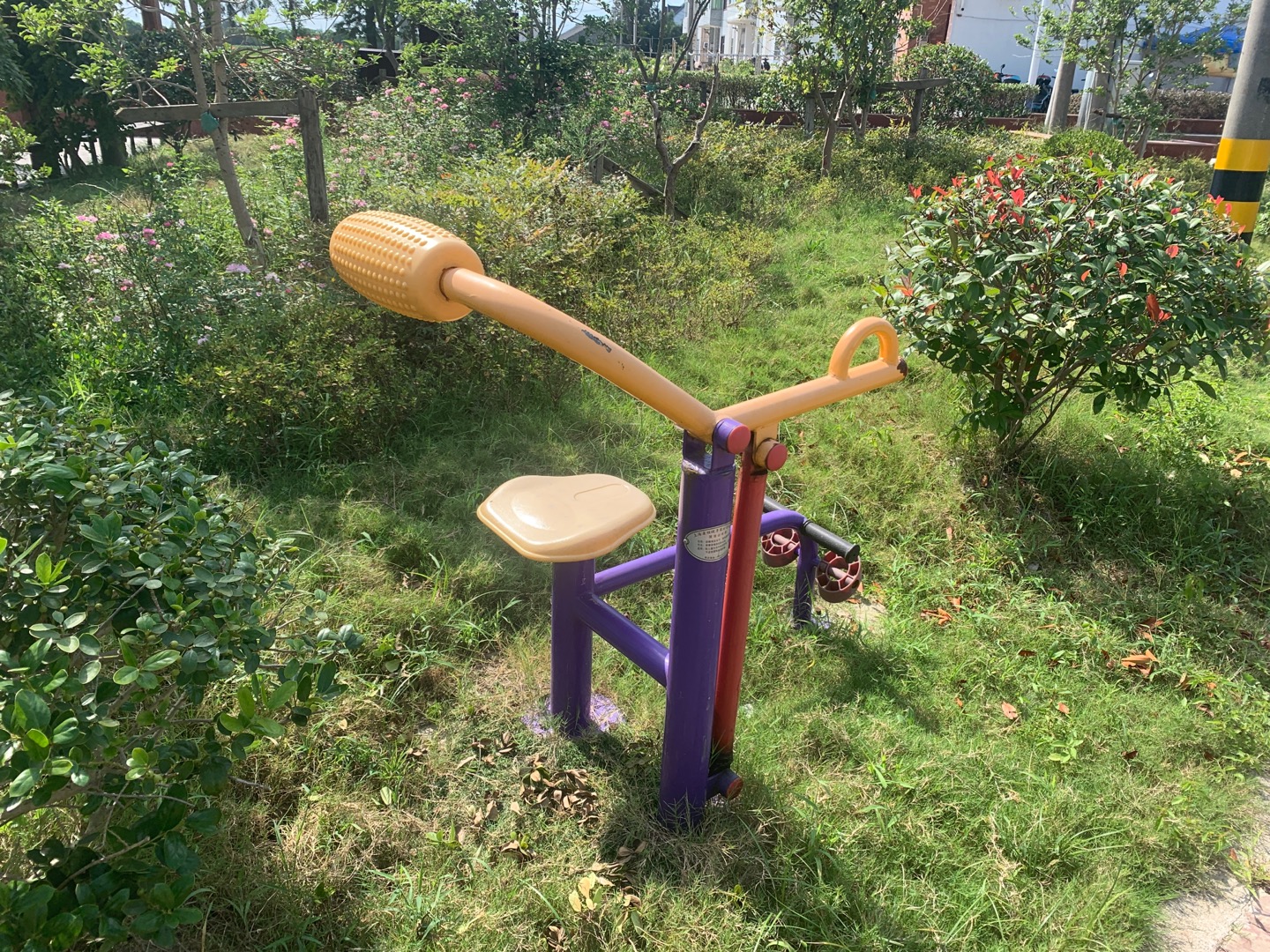 腹背訓(xùn)練器