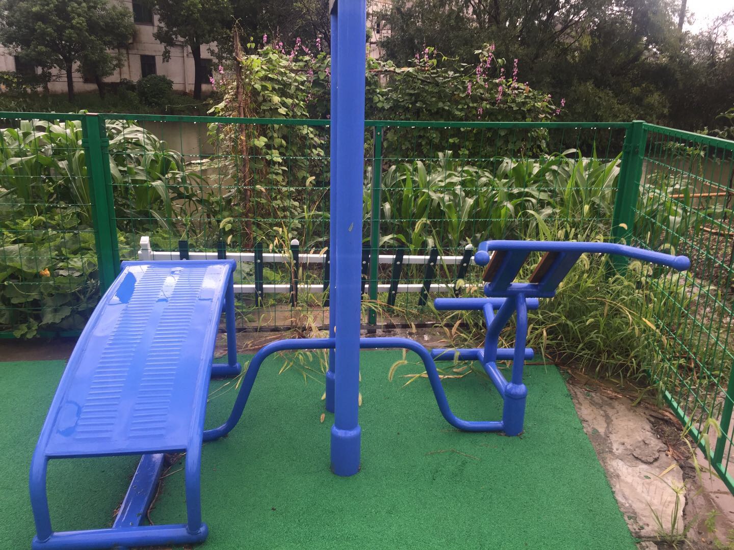 雙立柱腹背訓(xùn)練器