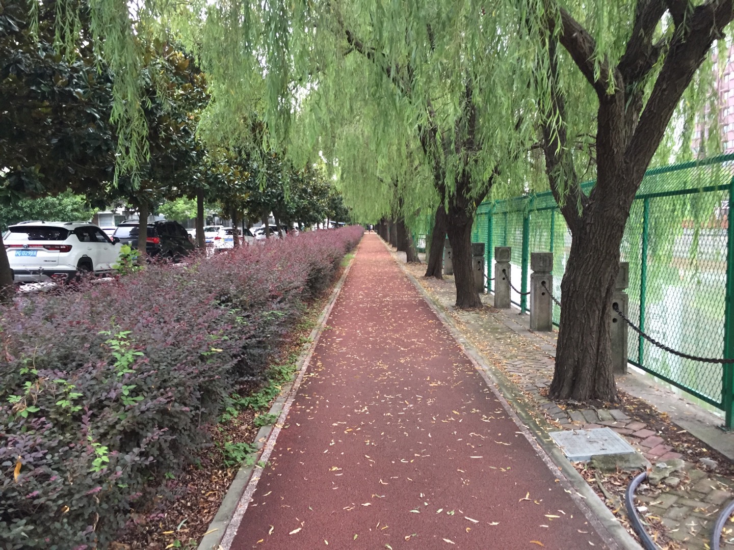 泖溪小區(qū)健身步道