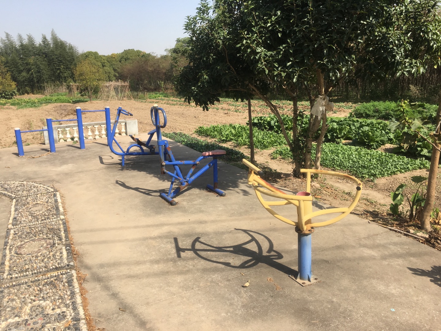 老港鎮(zhèn)牛肚村民委員會20組健身苑點