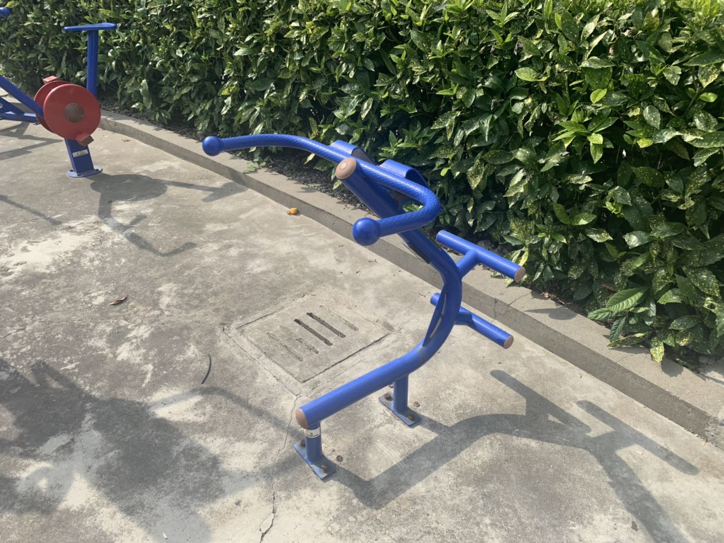 背肌/腹肌訓練器