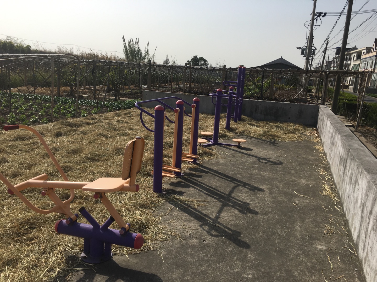 東河村港東15組健身苑點(diǎn)