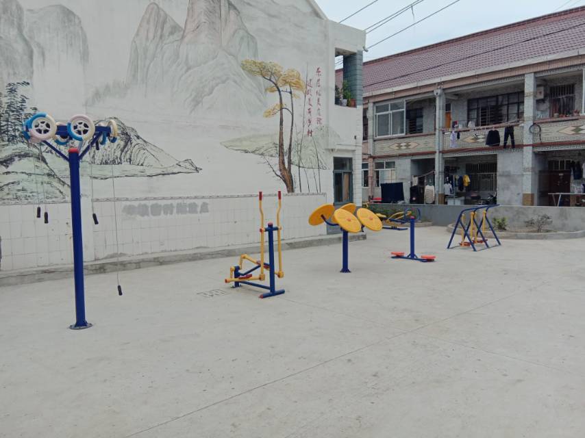 東立新村二組金家宅96號南側(cè)健身路徑