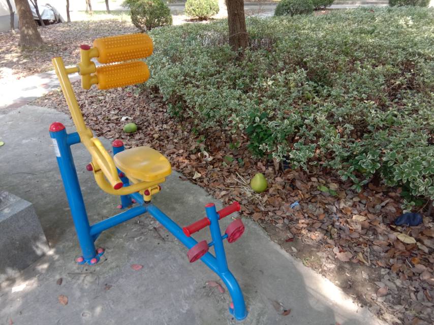 自重腹背鍛煉器