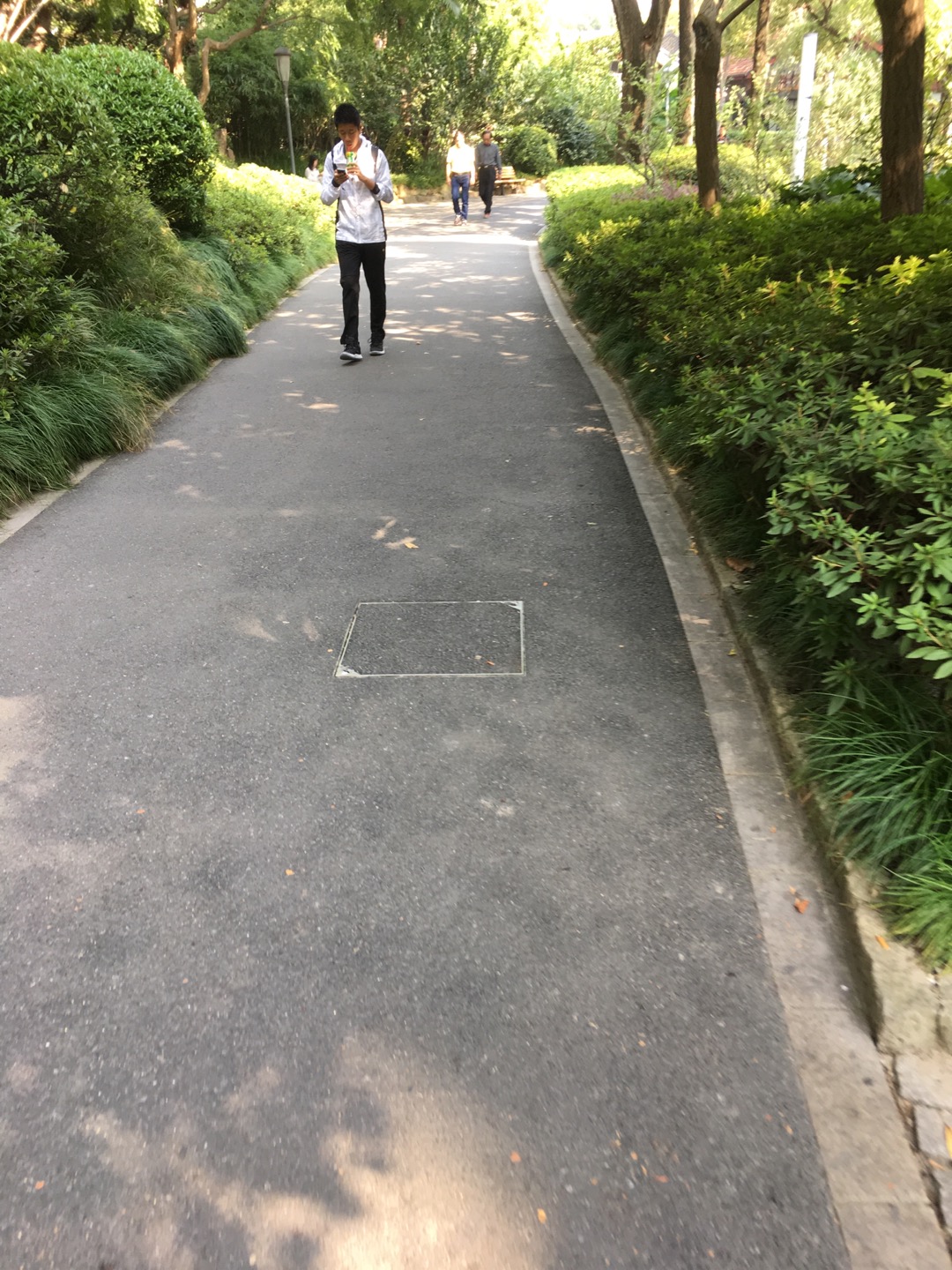 天山公園百姓健身步道