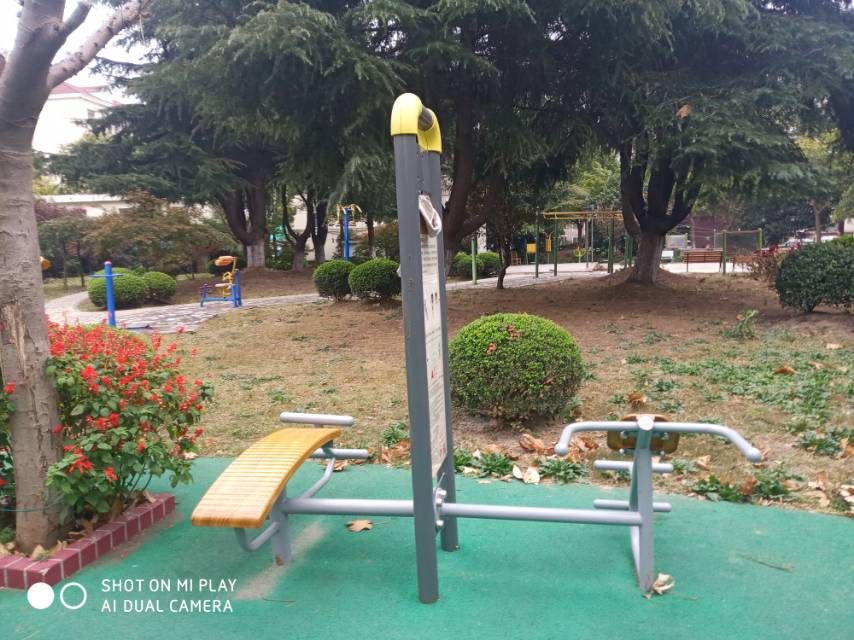 背肌訓(xùn)練器