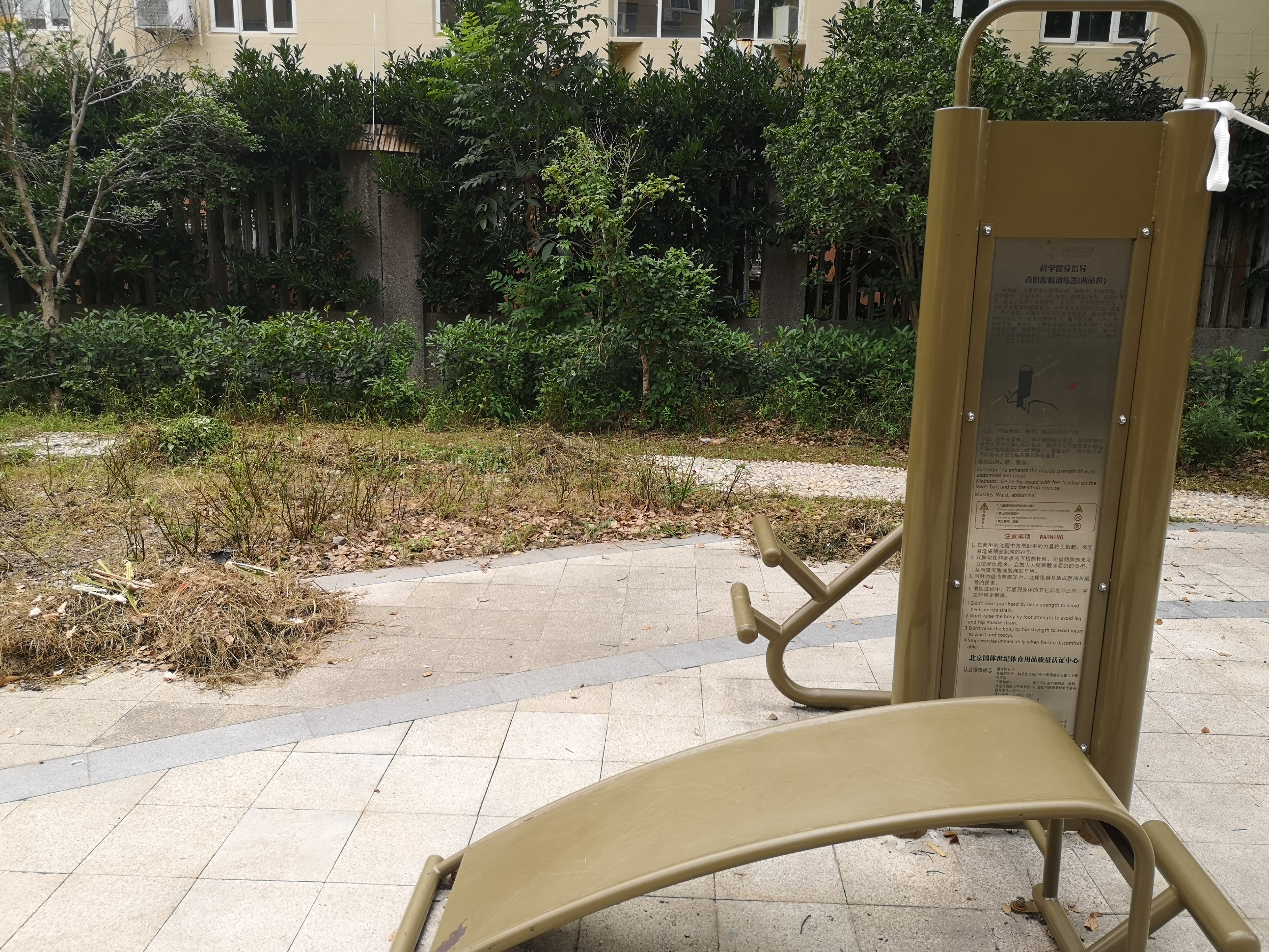 背肌腹肌訓(xùn)練器（兩站位）