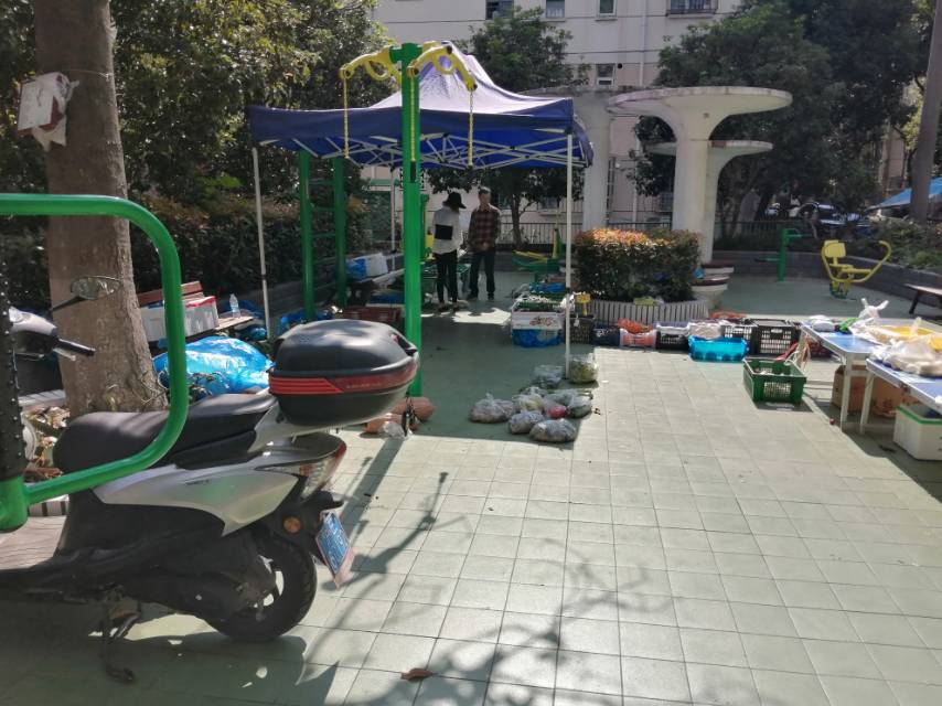 上南二村81號(hào)