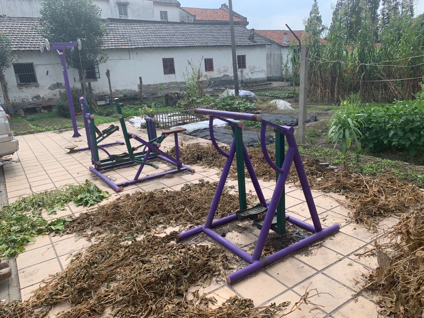 新源村1、2隊(duì)