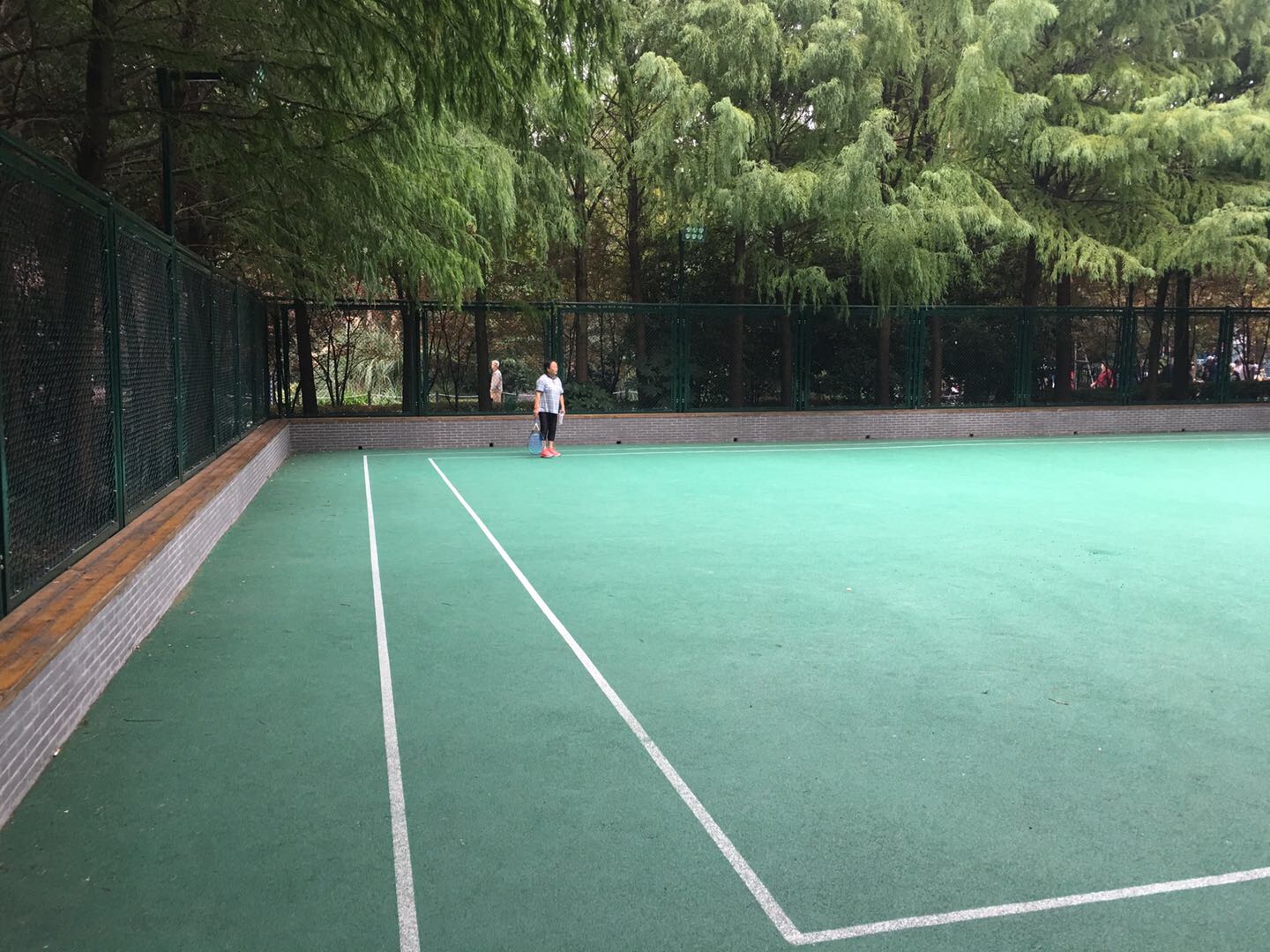 楊浦公園市民球場