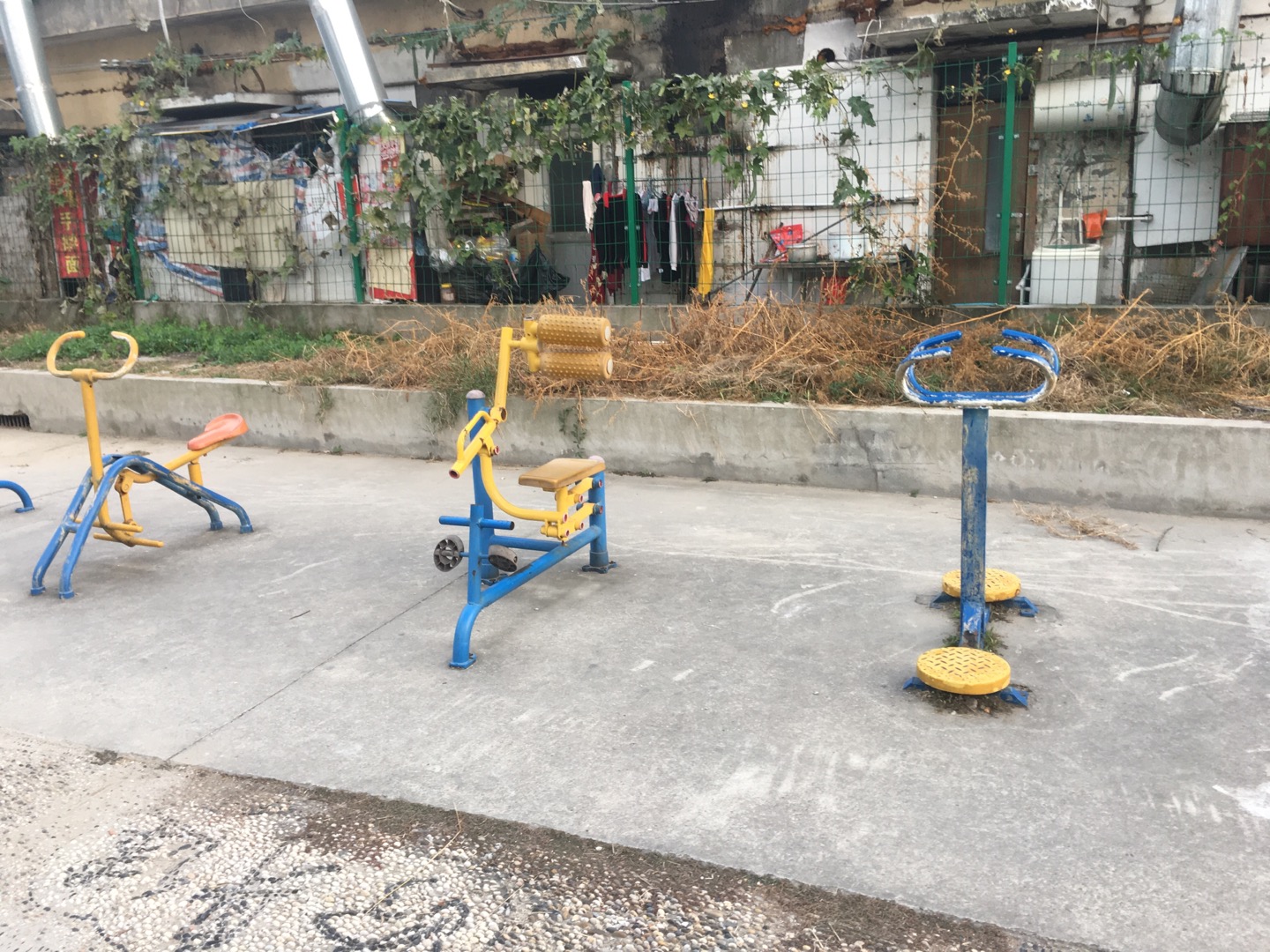 勝利居委健身點2